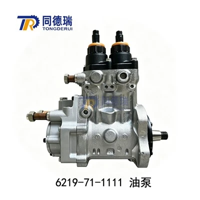Ponp piki gaz 6219-71-1111 pou motè D475-5